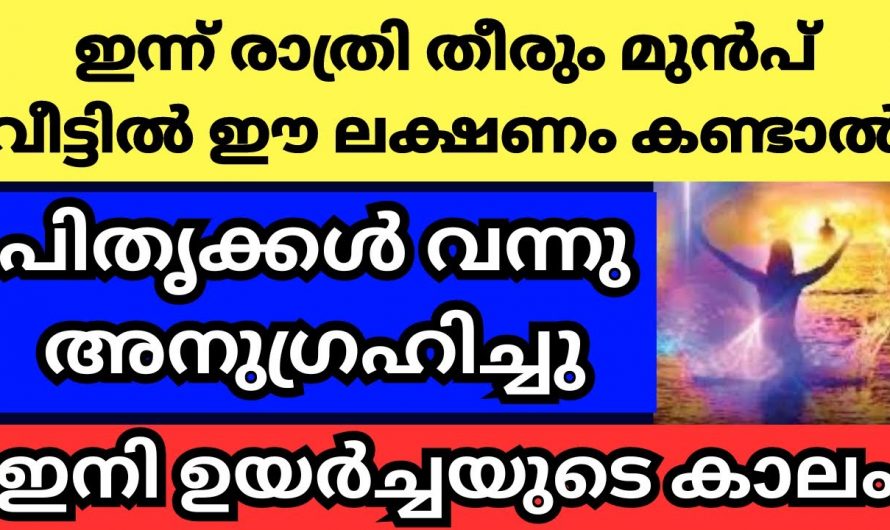 കർക്കിടക വാവ് ദിവസം നിങ്ങളുടെ ജീവിതത്തിലെ ലക്ഷണങ്ങൾ ഉണ്ടെങ്കിൽ സൗഭാഗ്യം ഉറപ്പ്…