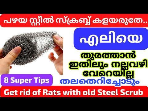 അടുക്കളയിലെ ഉപയോഗശൂന്യമായ  സ്റ്റീൽ സ്ക്രബർ  ഇനി കളയേണ്ട കിടിലൻ വഴി..