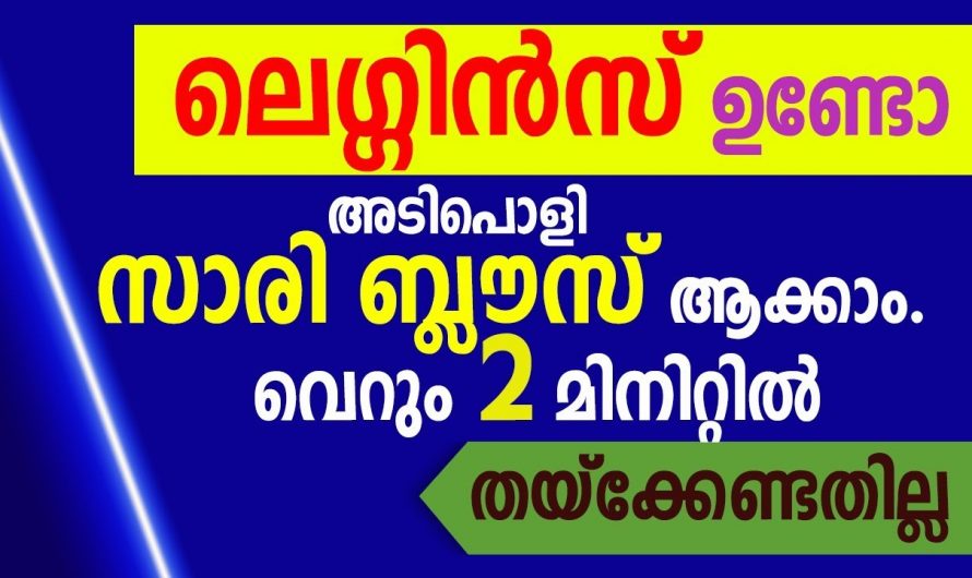 ബ്ലൗസ് തയ്ക്കാൻ ഇനി ദിവസങ്ങൾ വേണ്ട വെറും അഞ്ചു നിമിഷത്തിനുള്ളിൽ ബ്ലൗസ് റെഡി…