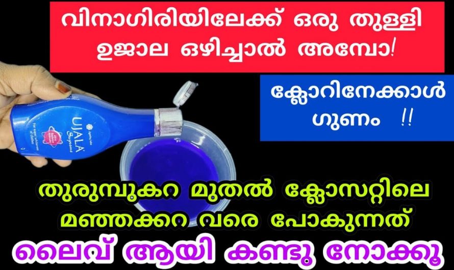 വീട്ടിലെ ഇതു തരം കറയായാലും വളരെ എളുപ്പത്തിൽ നീക്കം ചെയ്യാൻ കിടിലൻ വഴി…