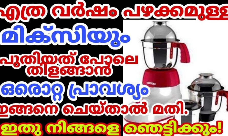 വളരെ എളുപ്പത്തിൽ മിക്സി ക്ലീൻ ചെയ്യാൻ കിടിലം വഴി…