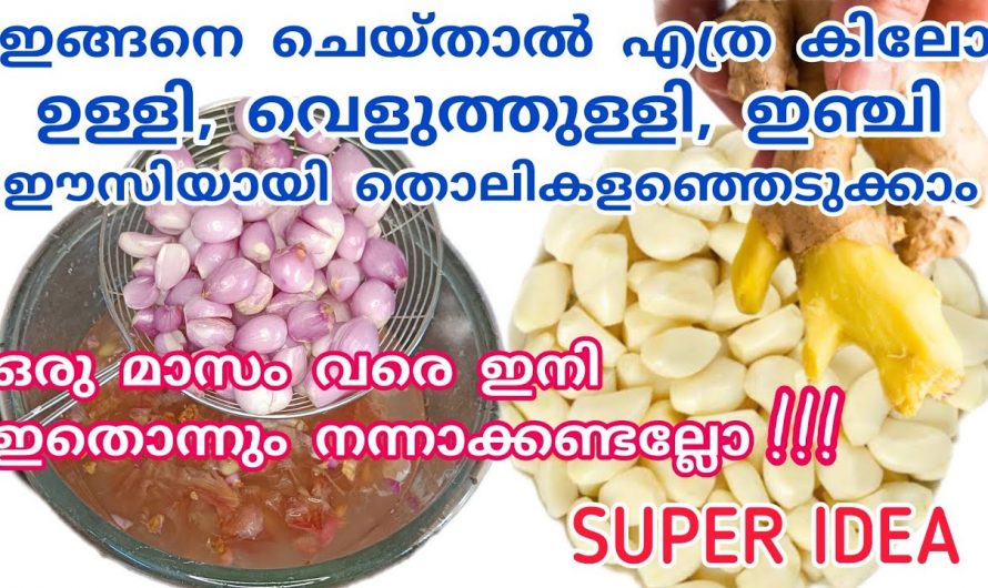 എത്ര കിലോ ഉള്ളിയും വെളുത്തുള്ളിയും ആയാലും നിമിഷങ്ങൾക്കുള്ളിൽ ക്ലീൻ ചെയ്യാം…