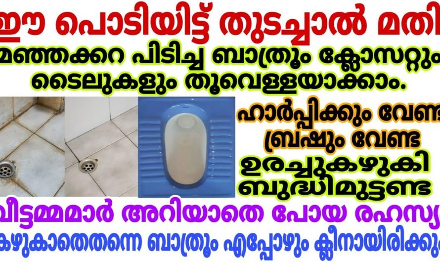 ഇനി വിപണിയുടെ ഉൽപ്പന്നങ്ങളോട് വിടപറയാൻ ഇതാ കിടിലൻ മാർഗ്ഗം ബാത്റൂം വെട്ടിത്തിളങ്ങും…