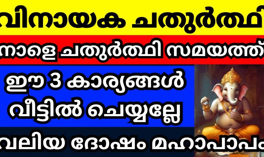 വിനായക ചതുർത്തി ദിവസം ഒരിക്കലും ഇക്കാര്യം ചെയ്യരുത്…