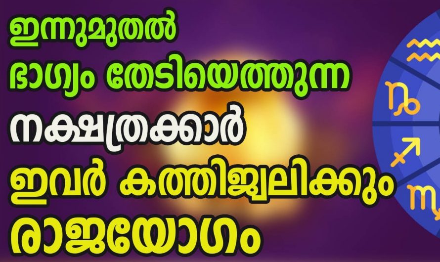 ഈ നക്ഷത്രക്കാർ ഇനി സൂര്യനെ പോലെ കത്തിജ്വലിക്കും…