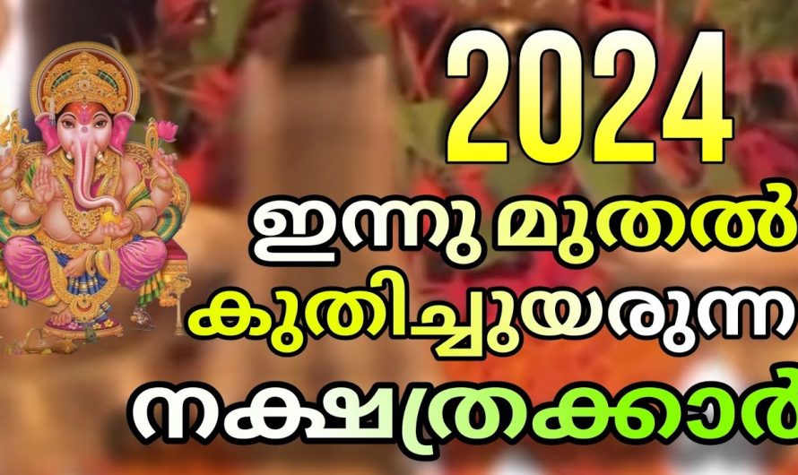 2024ൽ കുതിച്ചുയരുന്ന നക്ഷത്രങ്ങൾ…