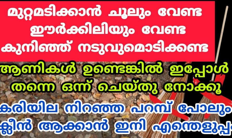 മുറ്റമടിക്കാൻ ബുദ്ധിമുട്ടുള്ളവര്  വരാണോ എങ്കിൽ ഇനി ചൂല് വേണ്ട ഈ ഒരു കാര്യം മാത്രം മതി..