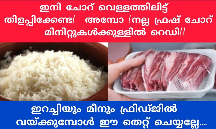 ചോറ് ബാക്കി വന്നു ഉപയോഗിക്കുമ്പോൾ ഇക്കാര്യം ചെയ്താൽ ചോറ് എപ്പോഴും ഫ്രഷ് ആയി തന്നെ ഉപയോഗപ്പെടുത്താം..