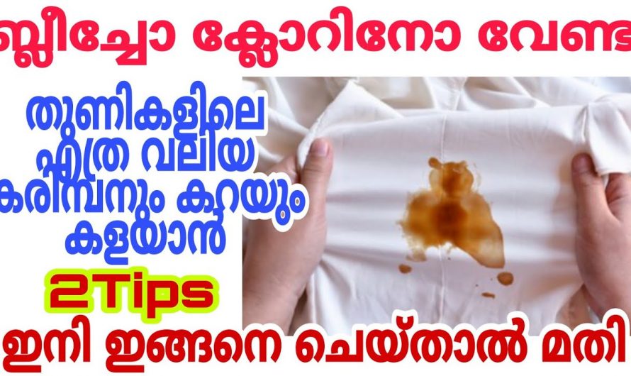 വസ്ത്രങ്ങളിലെ കരിമ്പന കറ എന്നിവ എളുപ്പത്തിൽ പരിഹരിക്കാൻ.