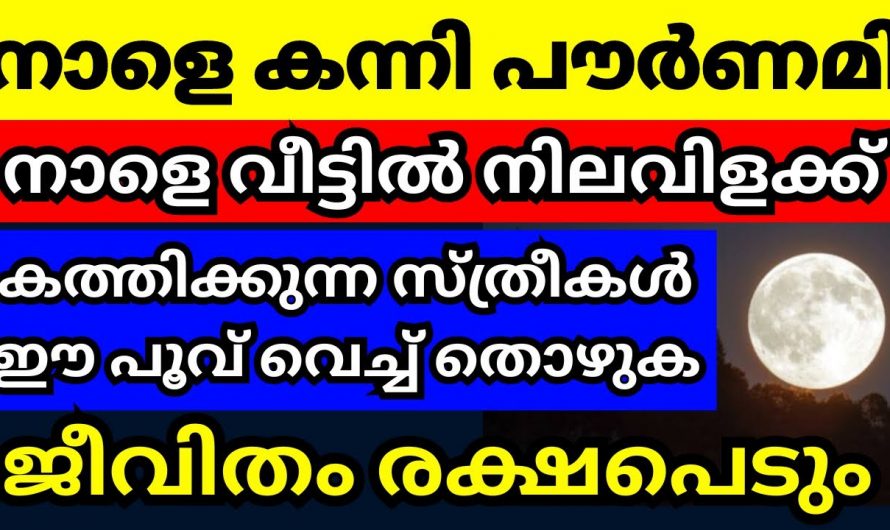 കന്നിമാസത്തിലെ പൗർണമി ദിവസം ഇക്കാര്യങ്ങൾ പ്രത്യേകം ശ്രദ്ധിക്കുക…