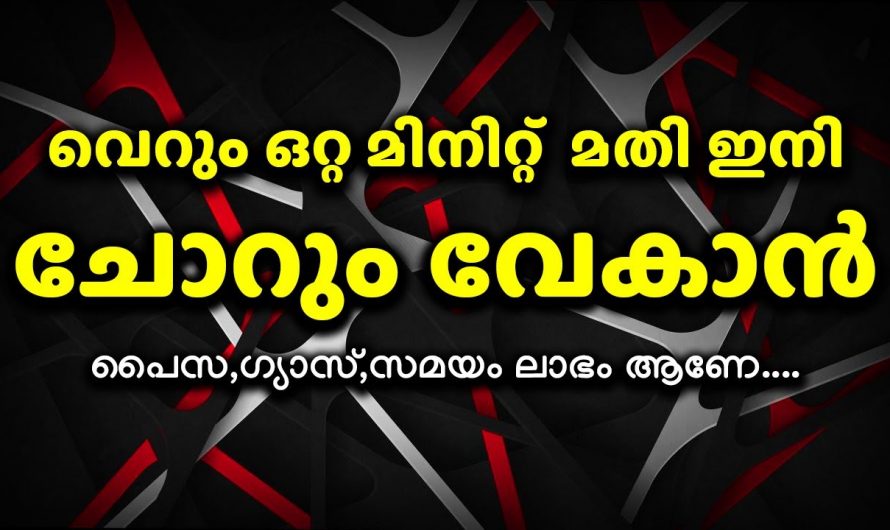 ഒട്ടും തന്നെ ഗ്യാസ് പാഴാക്കാതെ ഗ്യാസ് അടുപ്പിൽ ഒരു മിനിറ്റിൽ ചോറ് തയ്യാർ…