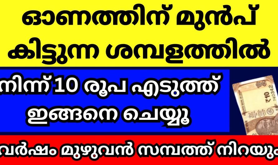 നിങ്ങളുടെ കയ്യിൽ പത്തു രൂപയുണ്ടെങ്കിൽ ഓണത്തിന് മുമ്പ് ഈ ഒരു കാര്യം ചെയ്തുനോക്കൂ ഞെട്ടിക്കും റിസൾട്ട്…