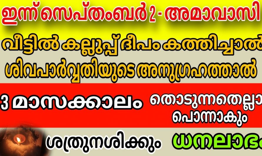 സെപ്റ്റംബർ മാസത്തിലെ അമാവാസി ദിനത്തിൽ ഇത് ചെയ്താൽ ഇരട്ടി ഫലം..