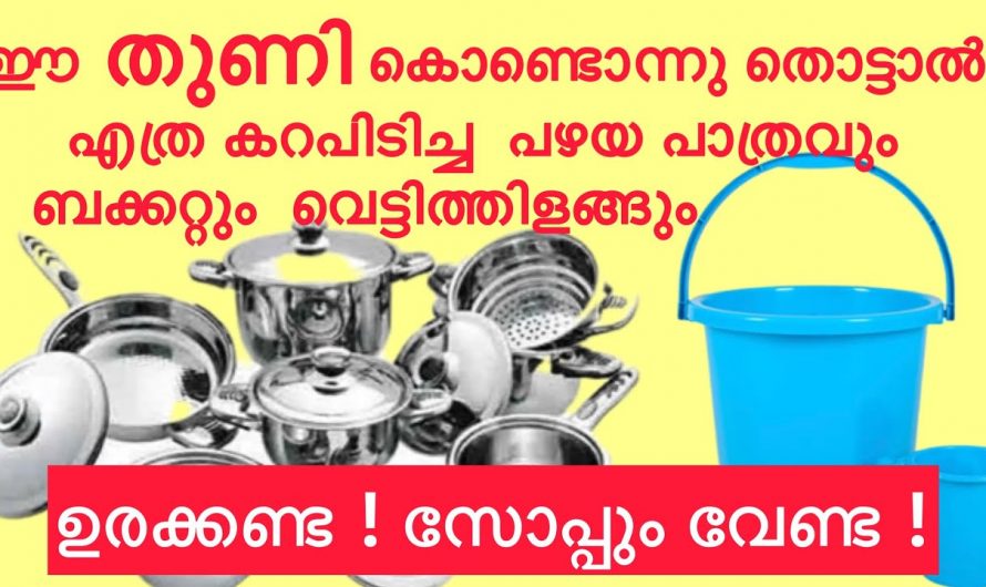 സ്ഥിരമായി ഉപയോഗിക്കുന്ന പാത്രങ്ങളിലെ കറയും അഴുക്കും  എളുപ്പത്തിൽ നീക്കം ചെയ്യാം