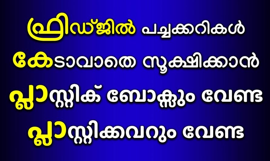 ഫ്രിഡ്ജിൽ പച്ചക്കറികൾ പഴവർഗങ്ങളും   വെക്കുമ്പോൾ  ഇങ്ങനെ ചെയ്തു നോക്കൂ…