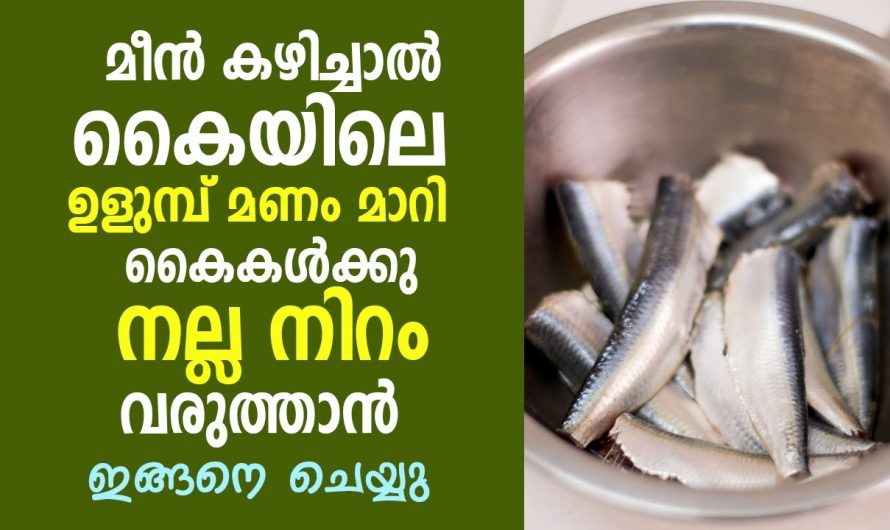 മീൻ നന്നാക്കിയാലോ കഴിച്ചാലോ ഉണ്ടാക്കുന്ന കയ്യിലെ മണം എളുപ്പത്തിൽ പരിഹരിക്കാം..