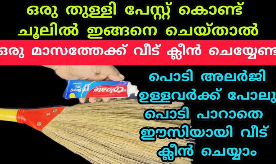 വീട്ടിൽ ഇനി മാറാലയോ പൊടിയോ ഉണ്ടാകില്ല ഈ ഒരു കാര്യം ചെയ്താൽ..