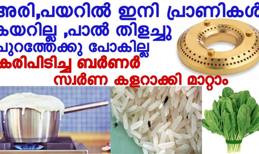 അടുക്കളയിൽ ഇത്തരം കാര്യങ്ങൾ ചെയ്തു നോക്കൂ..