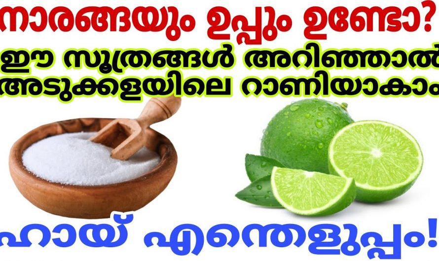 അടുക്കളയിൽ ഉപ്പും നാരങ്ങയും ഇങ്ങനെ ഉപയോഗിച്ച് നോക്കും ഞെട്ടിക്കും റിസൾട്ട്…