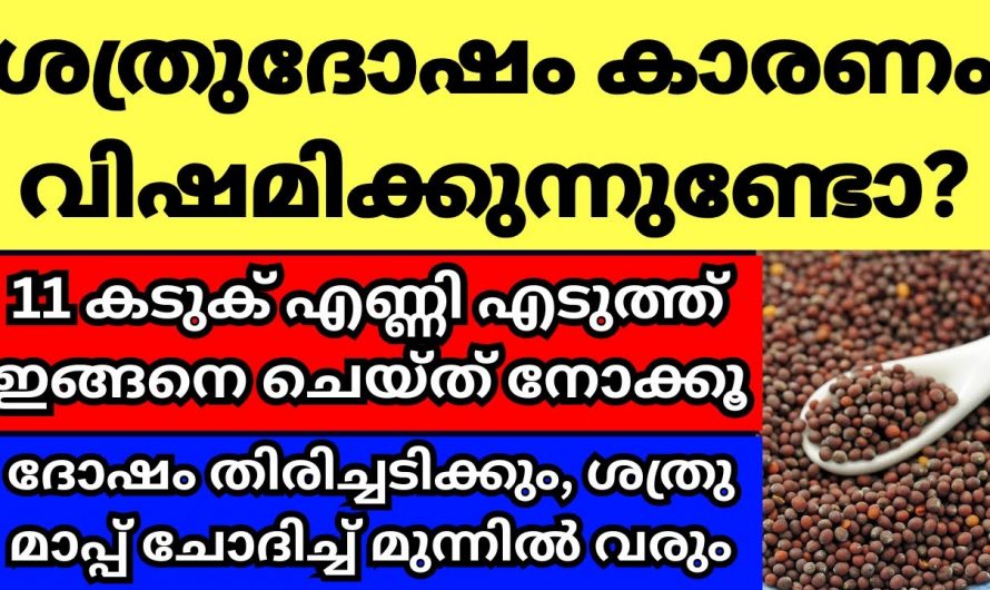 ശത്രു ദോഷം വേഗത്തിൽ ഇല്ലാതാക്കാൻ..