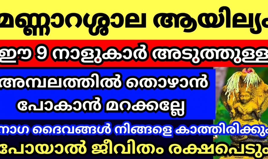 തുലാം മാസത്തിലെ ആയില്യം നാളിൽ ഈ നക്ഷത്രക്കാർ നിർബന്ധമായും നാഗർ ക്ഷേത്രങ്ങളിൽ പോകണം…