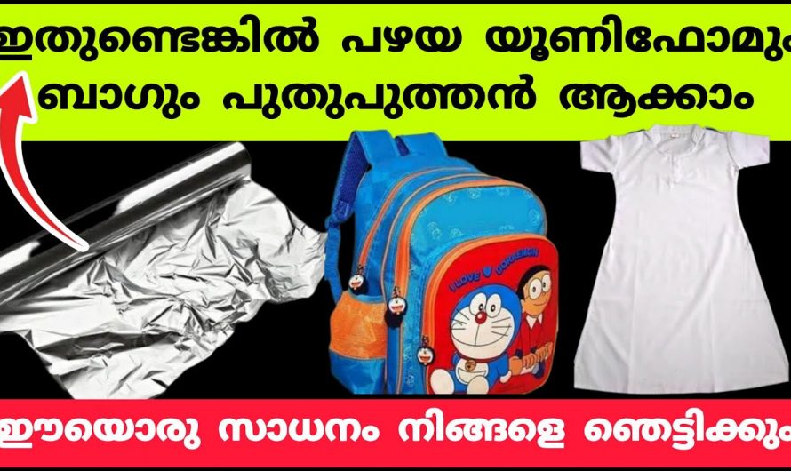 എത്ര പഴയ ബാഗുകളും എളുപ്പത്തിൽ ക്ലീൻ ചെയ്തെടുക്കാം കിടിലൻ മാർഗ്ഗം…