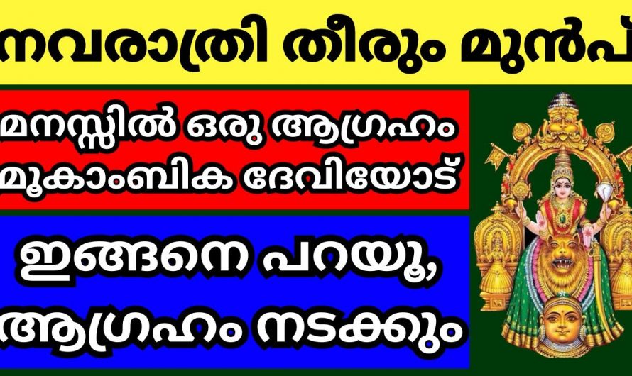 നിങ്ങളുടെ ഏത് ആഗ്രഹം സാധ്യമാകുന്നതിന് ഈ വഴിപാട് നവരാത്രിക്ക് മുൻപ് ചെയ്താൽ മതി…