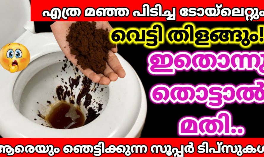 കാപ്പിപ്പൊടി ഉണ്ടെങ്കിൽ ഇത്തരം പ്രശ്നങ്ങൾക്ക് കിടിലൻ പരിഹാരം…