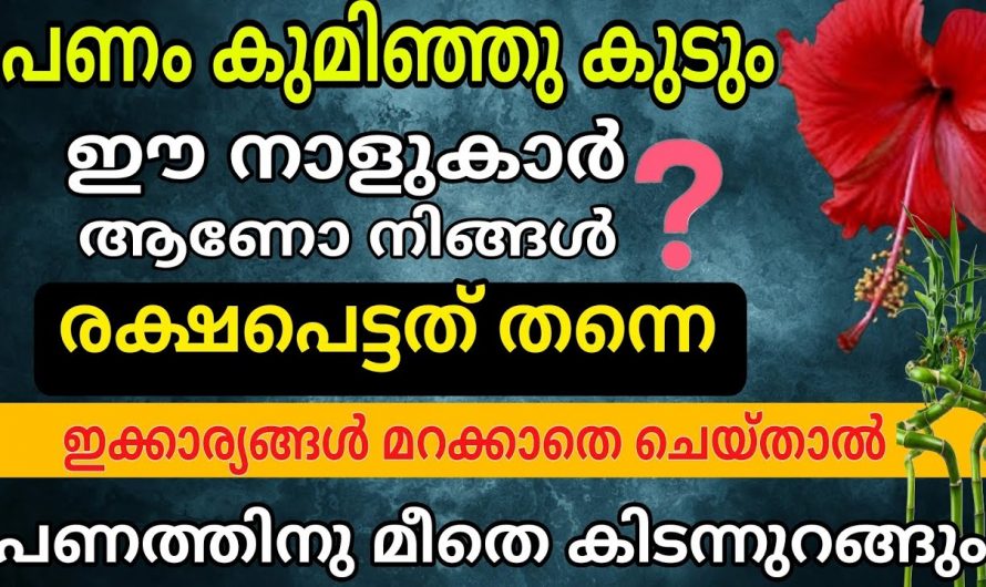 വീട്ടിൽ പണം കുമിഞ്ഞു കൂടുന്ന നക്ഷത്രക്കാർ…