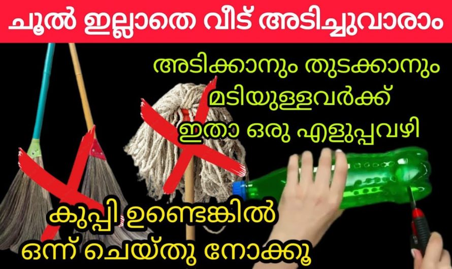 ഇത്തരം ടിപ്സുകൾ വീട്ടമ്മമാർക്ക് വളരെയധികം ഗുണകരം..