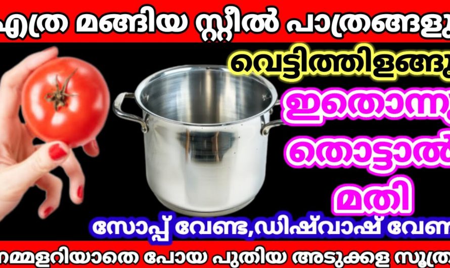 എത്ര പഴയ സ്റ്റീൽ പാത്രങ്ങൾ തിളങ്ങുന്നതിനും അതുപോലെതന്നെ പുതിയ പാത്രങ്ങളിലെ കറകൾ നീക്കം ചെയ്യാൻ കിടിലൻ വഴി.