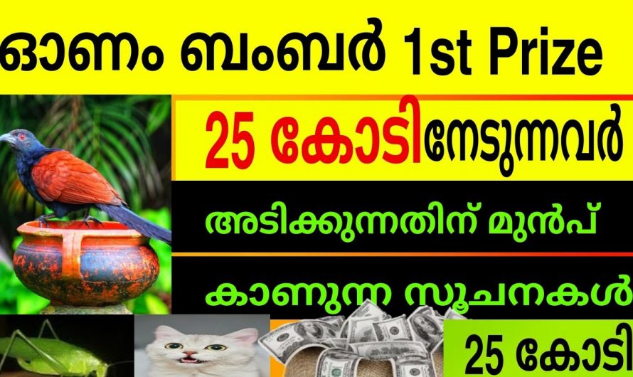 ഇത്തരം ലക്ഷണങ്ങൾ ഉണ്ടെങ്കിൽ ഉറപ്പിച്ചോളും നിങ്ങളുടെ വീട്ടിൽ മഹാഭാഗ്യം വന്നുചേരുന്നു