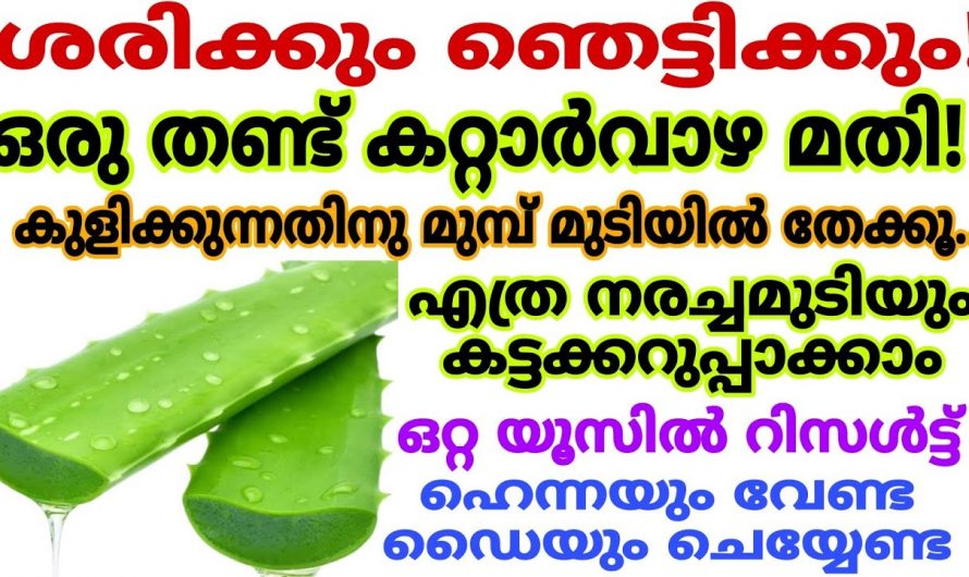 ഇനി കെമിക്കൽ അടങ്ങിയ ഹെയർ ഡൈ ബൈ പറയാം ഇതാ നാച്ചുറൽ ഹെയർ ഡൈ..