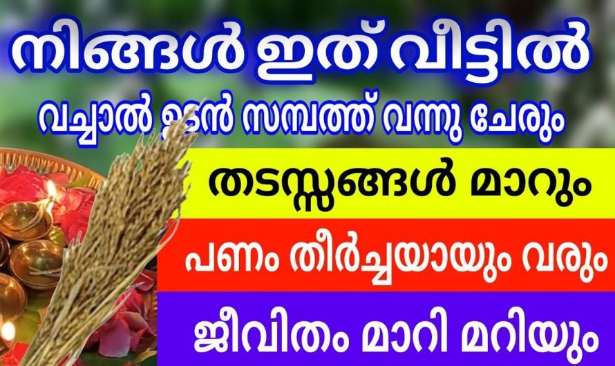 നിങ്ങളുടെ സകല ദുഃഖങ്ങളും ബാധ്യതകളും  മാറുന്നതിന് ഈ ഒരു കാര്യം വീട്ടിൽ ചെയ്താൽ മതി..