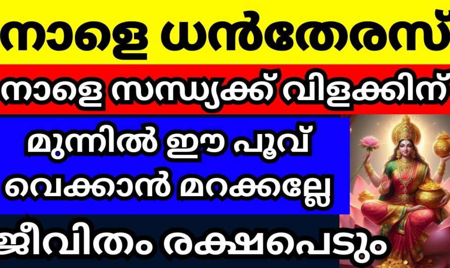 മഹാലക്ഷ്മിയുടെ പിറന്നാൾ ദിവസം സന്ധ്യയ്ക്ക് വീട്ടിൽ ഇങ്ങനെ നിലവിളക്ക് കത്തിച്ചാൽ ലഭിക്കുന്ന ഗുണങ്ങൾ..