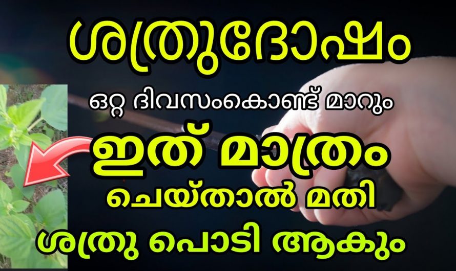 എത്ര വലിയ ശത്രു ദോഷവും നീങ്ങും ഈയൊരു കാര്യം ചെയ്താൽ.