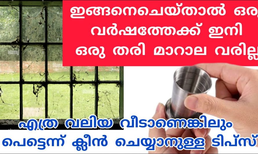 ഈയൊരു കാര്യം ചെയ്താൽ മാറാല  ശല്യം എളുപ്പത്തിൽ പരിഹരിക്കും.