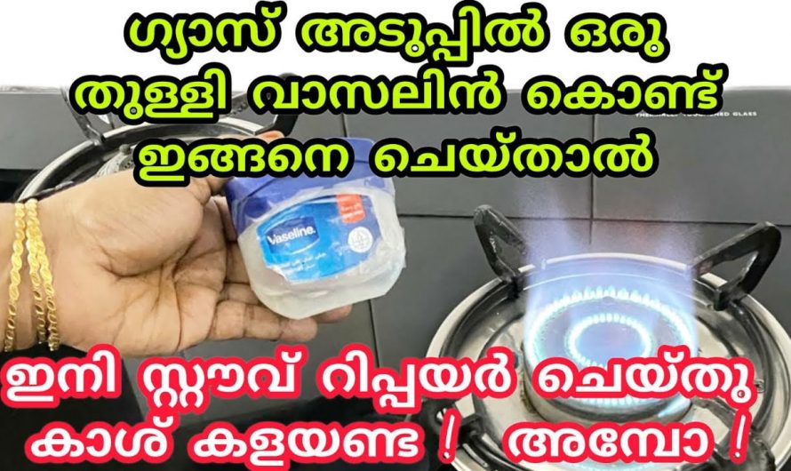 വാസിലിൻ  ക്രീമിന്റെ ഞെട്ടിക്കും ഉപയോഗങ്ങൾ…