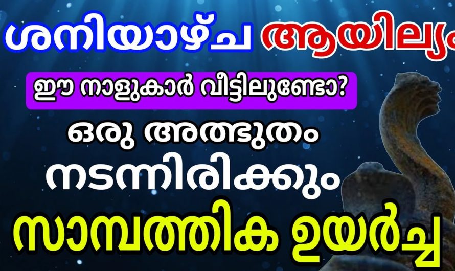 ശനിയാഴ്ച ആയില്യം മുതൽ കുതിച്ചുയരുന്ന നക്ഷത്രക്കാർ..