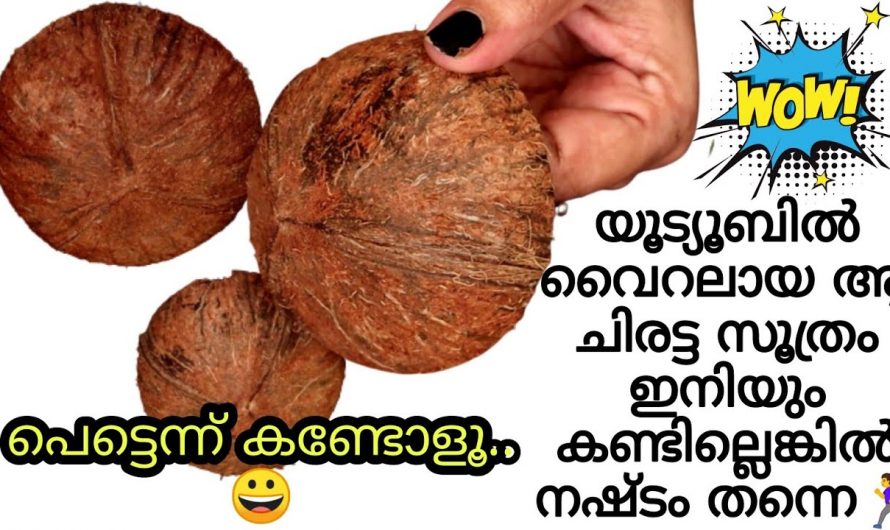 ചിരട്ട വലിച്ചെറിഞ്ഞ്  കളയേണ്ട ഇതൊന്നു ചെയ്തു നോക്കൂ..