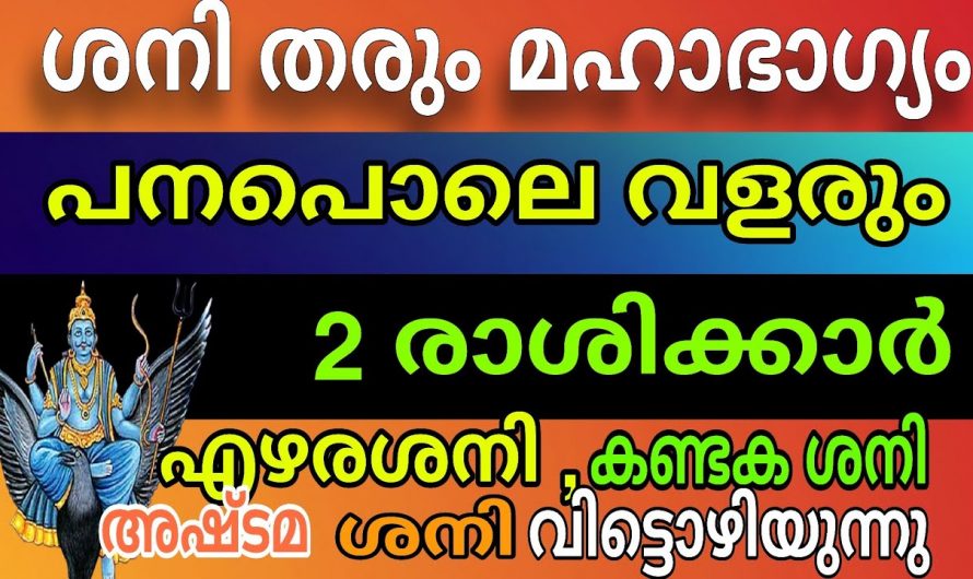 ഈ നക്ഷത്രക്കാരുടെ ജീവിതത്തിൽ കണ്ടകശനിയും ഏഴര ശനിയും അവസാനിച്ചു ഇനി ഇവർ മഹാരാജായോഗം അനുഭവിക്കും