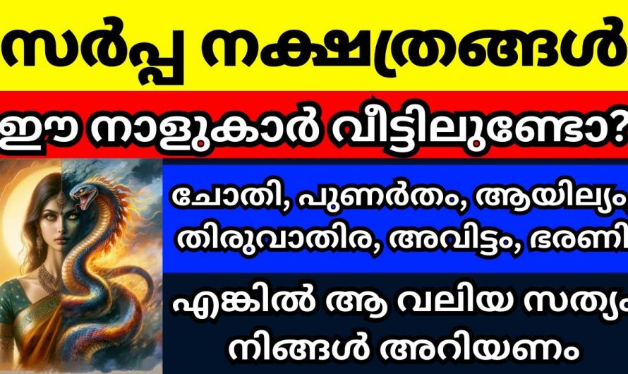 ഈ ആറ് നക്ഷത്രക്കാർ അതായത് സർപ്പം നക്ഷത്രങ്ങൾ  നിങ്ങളുടെ വീട്ടിലുണ്ടെങ്കിൽ സംഭവിക്കുന്നത്..