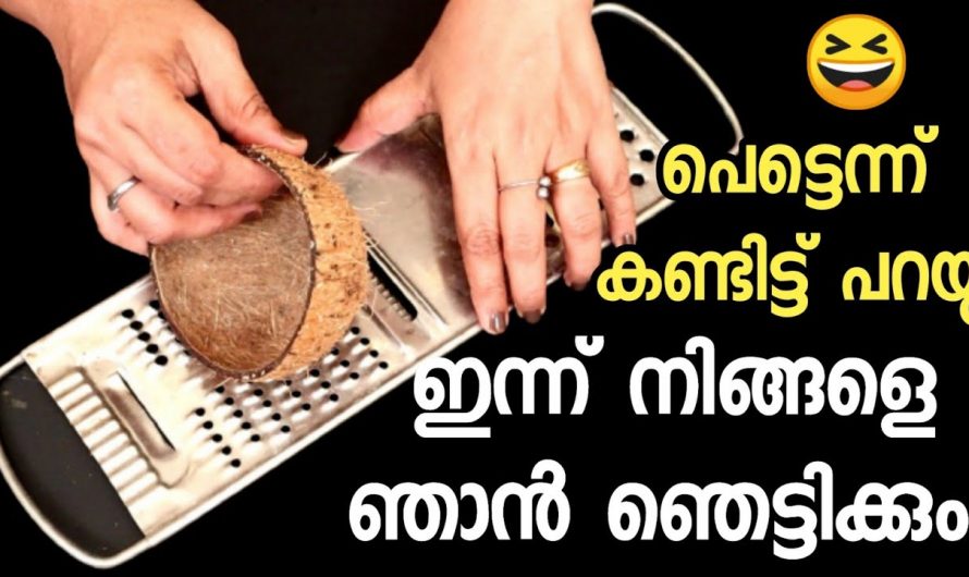 വീടുകളിൽ വലിച്ചെറിയുന്ന ഈ ചിരട്ട ഉപയോഗിച്ച് ഇങ്ങനെ ചെയ്തു നോക്കൂ ഞെട്ടി റിസൾട്ട്….