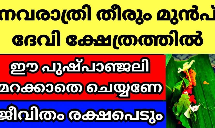 നവരാത്രി തീരുന്നതിനു മുൻപ് ദേവിക്ഷേത്രത്തിൽ ഈ വഴിപാട് ചെയ്താൽ ലഭിക്കുന്ന അനുഗ്രഹങ്ങൾ…