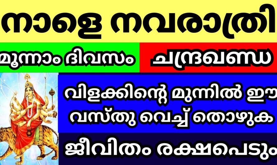 നവരാത്രിയുടെ മൂന്നാം ദിവസം ഈ ദേവിയോട് പ്രാർത്ഥിച്ചാൽ ലഭിക്കുന്ന ഫലങ്ങൾ.