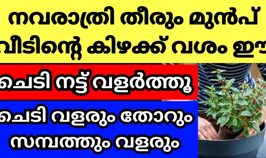 നവരാത്രി മുൻപ് ഇത്തരം കാര്യങ്ങൾ ചെയ്താൽ വളരെയധികം ഗുണം ചെയ്യും..