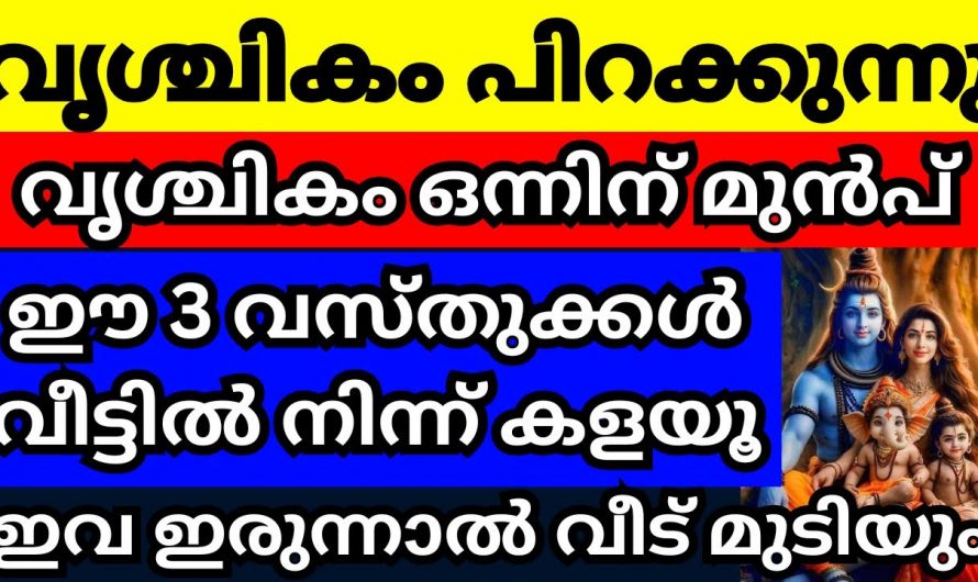 വൃശ്ചികമാസം തുടങ്ങുന്നതിനു മുൻപ് ഇത്തരം കാര്യങ്ങൾ വീട്ടിൽ നിന്ന് മാറ്റുക ഇല്ലെങ്കിൽ ദോഷം വരും…