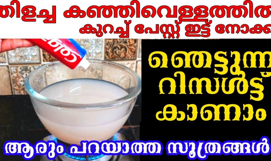 വീട്ടിൽ പാഴാക്കുന്ന കഞ്ഞി വെള്ളം കൊണ്ടുള്ള ഞെട്ടിക്കും ഉപയോഗങ്ങൾ