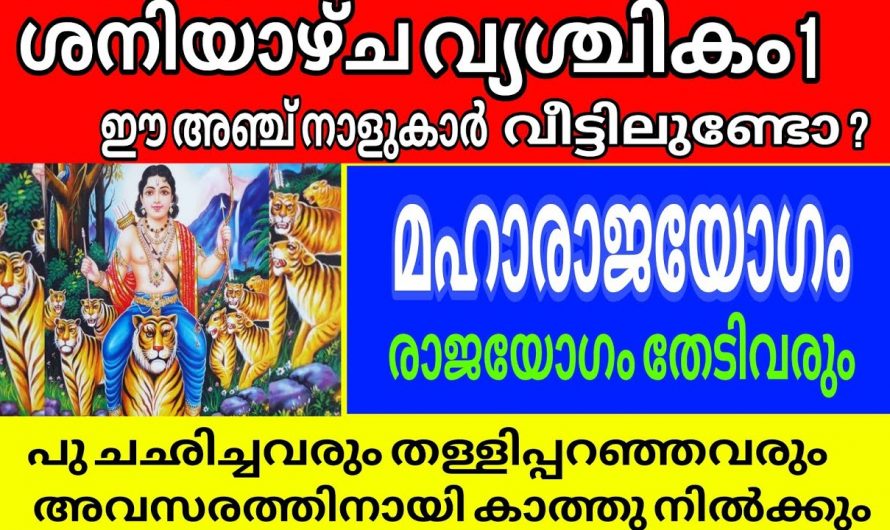 ഈ അഞ്ചു നക്ഷത്രക്കാർ നിങ്ങളുടെ വീട്ടിൽ ഉണ്ടെങ്കിൽ വൃശ്ചിക മാസത്തിൽ പ്രത്യേകം ശ്രദ്ധിക്കണം..