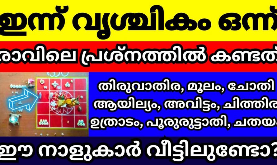 വൃശ്ചികം പിറക്കുമ്പോൾ ഈ നക്ഷത്രക്കാർ ഇത്തരം കാര്യങ്ങൾ അറിഞ്ഞിരിക്കണം..